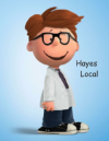 Hayes Local Marketing business image in Bridgeview, Il